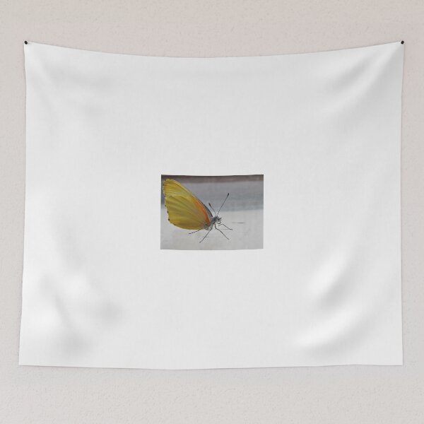 Item preview, Butterfly on glass designed and sold by BiodiversityRocks.