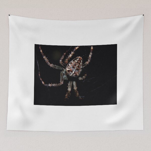 Item preview, Orb Weaver (7643_) designed and sold by sensameleon.