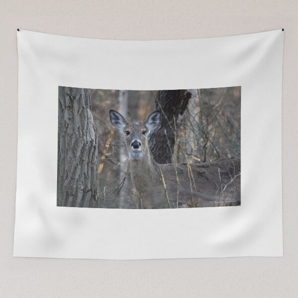 Item preview, A Deer in the Thicket designed and sold by Gilda Axelrod.