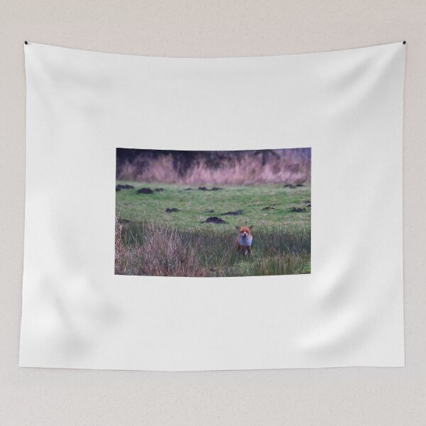 Item preview, Fox at rest designed and sold by Violaman.