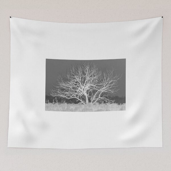 Item preview, Bare Tree designed and sold by Diego Re.