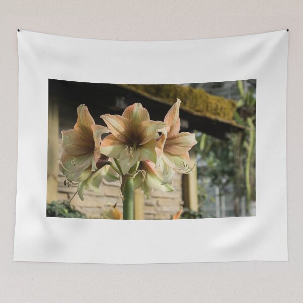 Item preview, Pale Pastel Amaryllis  designed and sold by Georgia Mizuleva.