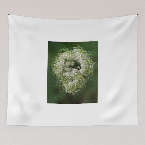 Item preview, Queen Anne's Lace Bud designed and sold by Gilda Axelrod.
