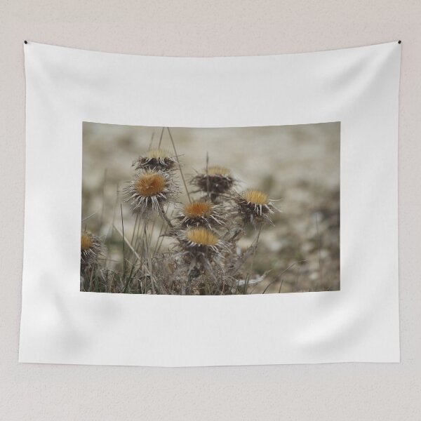 Item preview, Thistle designed and sold by karina5.