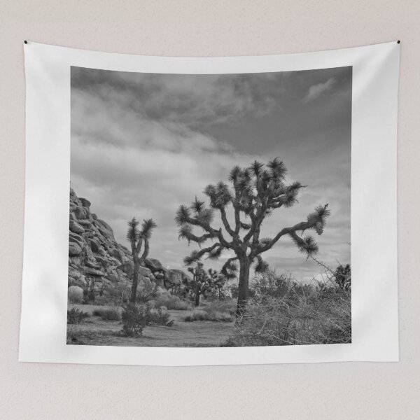Aperçu de l'œuvre Joshua Tree créée et vendue par Mariusz Pogorzelski Photography.