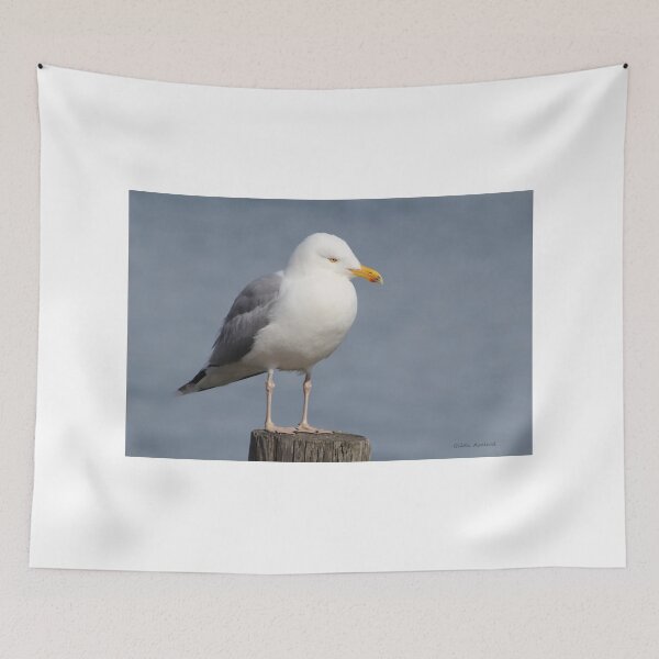 Item preview, Seagull with Cute Feet on a Wooden Piling designed and sold by Gilda Axelrod.