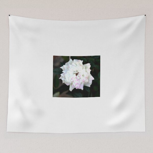 Item preview, BLUSHING WHITE ROSE WITH PINK TINGE designed and sold by JAYMILO.