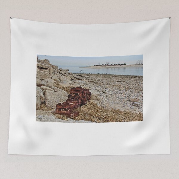 Item preview, Look What Hurricane Sandy Dragged In designed and sold by Gilda Axelrod.