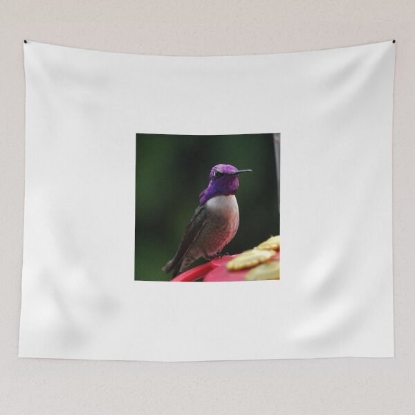 Item preview, HUMMINGBIRD MALE COSTA'S ON PERCH designed and sold by JAYMILO.