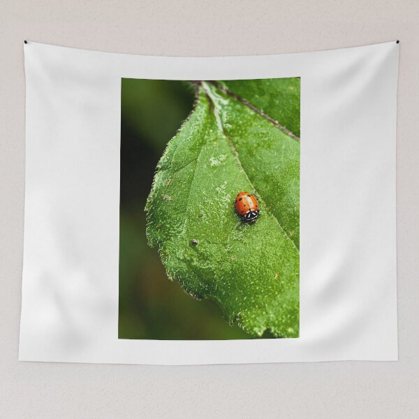 Item preview, Lady in Red  designed and sold by Kgphotographics.