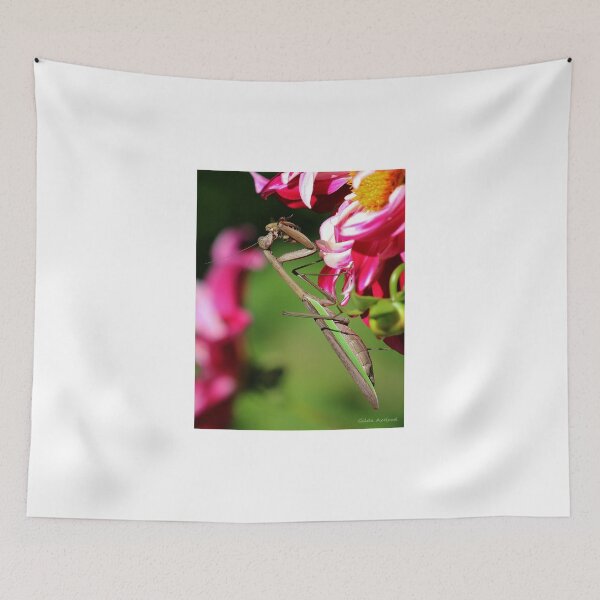 Item preview, Praying Mantis Eating a Bee designed and sold by Gilda Axelrod.