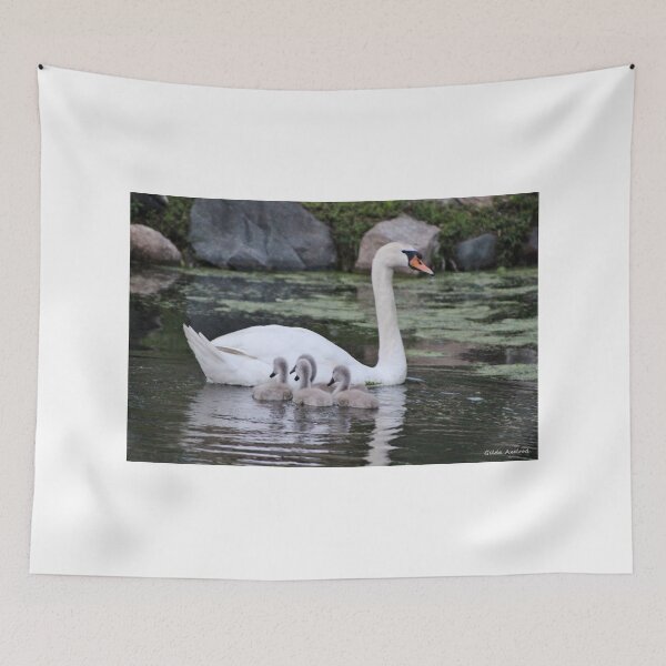 Item preview, Mute Swan and her Cygnets designed and sold by Gilda Axelrod.