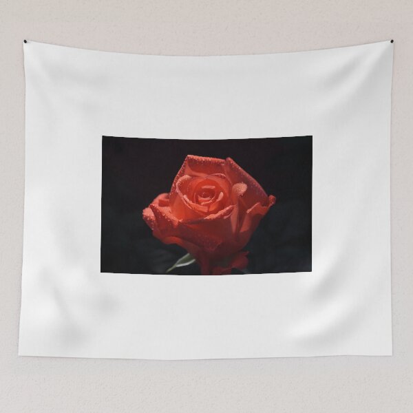Item preview, RED ROSE NAMED MISS ELEGANCE designed and sold by JAYMILO.