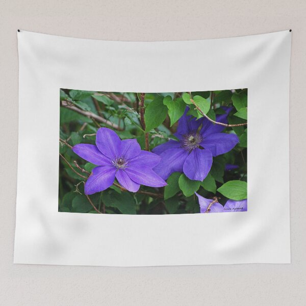 Item preview, Clematis designed and sold by Gilda Axelrod.