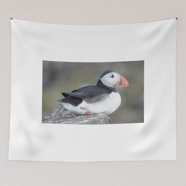 Item preview, Puffin  designed and sold by sandysshoots.