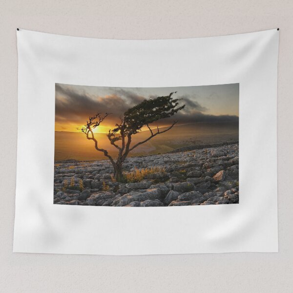 Item preview, Lone Tree designed and sold by MarkSykes.