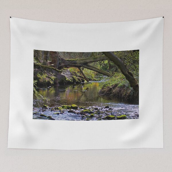Item preview, Holywell Dene, Northumberland designed and sold by Violaman.