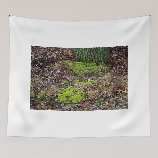 Item preview, Moss in the Woods designed and sold by Gilda Axelrod.