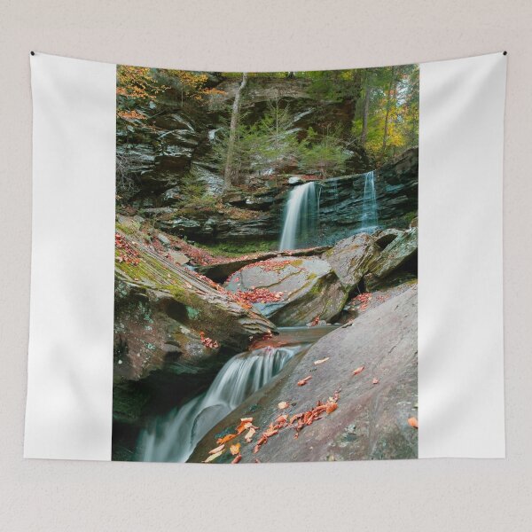Item preview, Falling Water Meets Fallen Leaves designed and sold by Gene Walls.