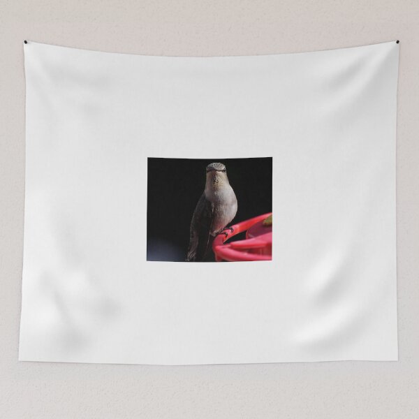 Item preview, HUMMINGBIRD ANNA'S "I'M READY FOR MY CLOSEUP" designed and sold by JAYMILO.