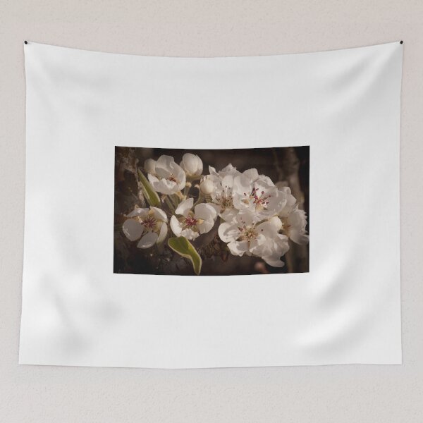 Item preview, Apple Blossoms, Cascade Valley, Washington designed and sold by Harv Churchill.