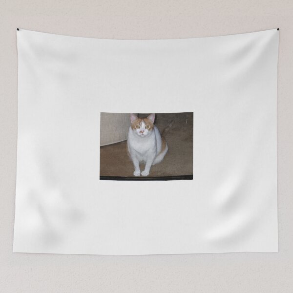 Item preview, OUR FRIENDS CAT MOLLY WAITING BEHIND THE SCREEN DOOR designed and sold by JAYMILO.