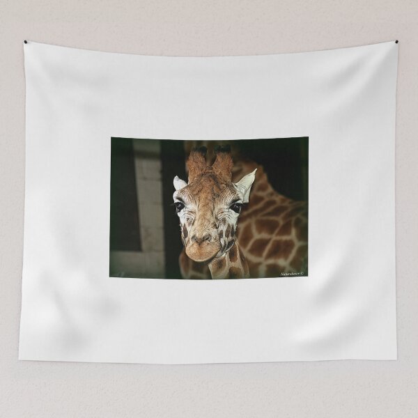 Item preview, Sweet Cheeks designed and sold by naturelover.