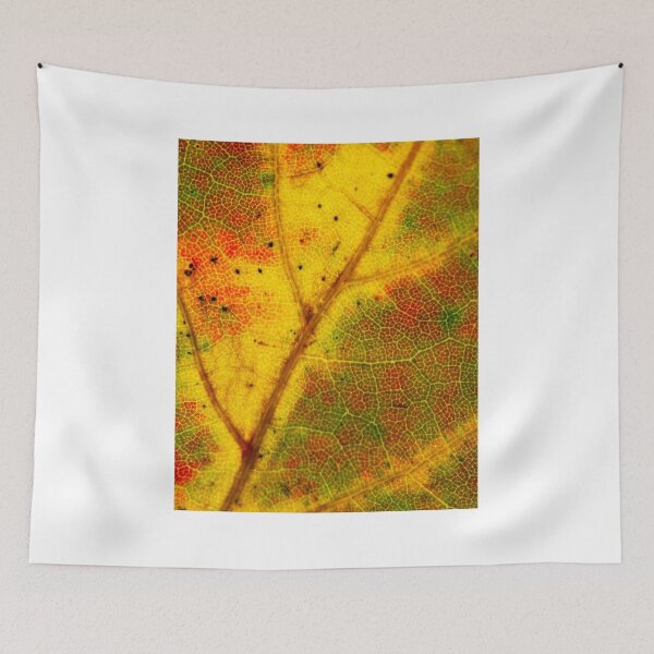 Item preview, Autumn Foliage 2 designed and sold by dlamb.
