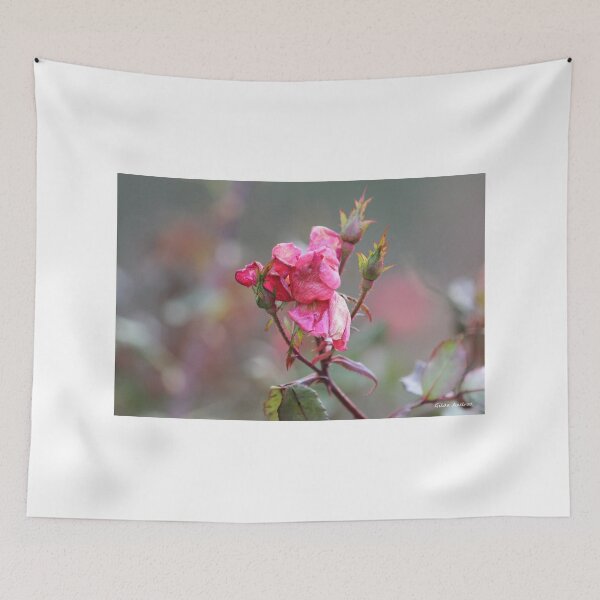 Item preview, Faded Pink Rose designed and sold by Gilda Axelrod.