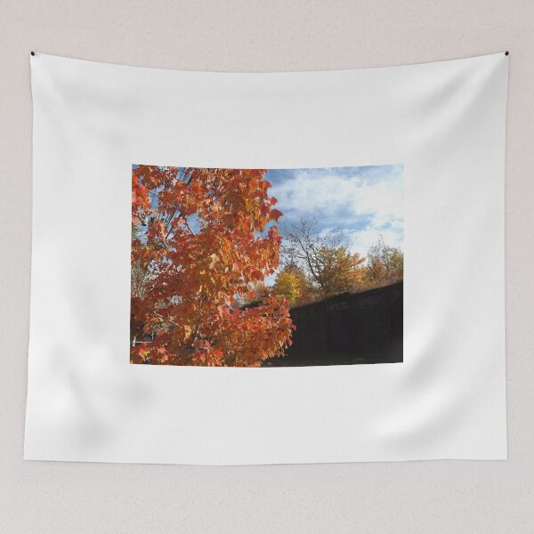 Item preview, Sixth Street Embankment, Autumn Colors, Abandoned Pennsylvania Railroad Embankment, Jersey City, New Jersey  designed and sold by lenspiro.