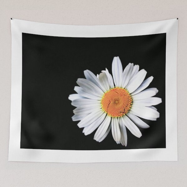 Item preview, Aster Amellus (Michaelmas Daisy) designed and sold by FuglyManorArt.