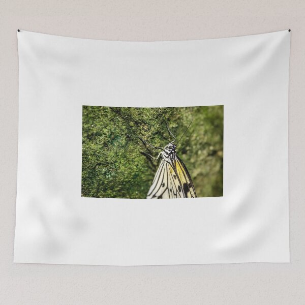 Item preview, butterfly on the moss designed and sold by Jason Dymock Photography.