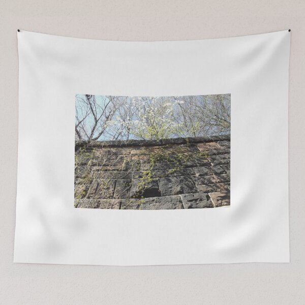 Item preview, Harsimus Branch Embankment, Abandoned Pennsylvania Railroad Embankment, Jersey City, New Jersey designed and sold by lenspiro.