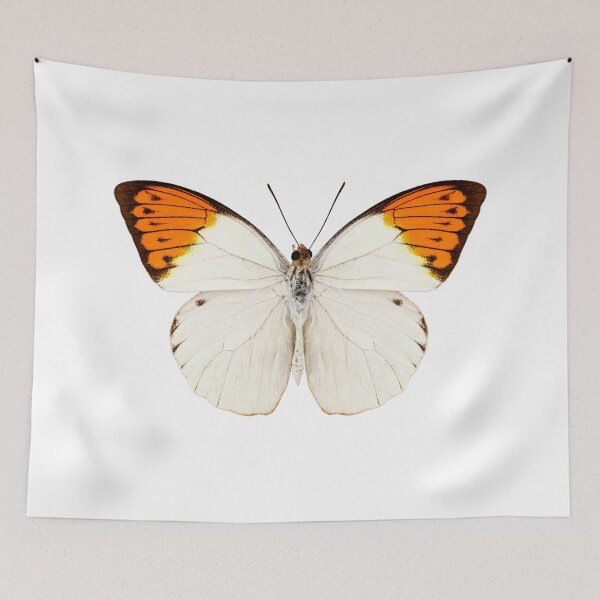 Item preview, Butterfly species Graphium sarpedon designed and sold by paulrommer.