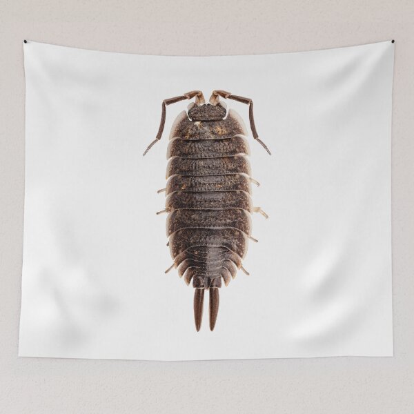 Item preview, woodlouse species porcellio wagnerii designed and sold by paulrommer.