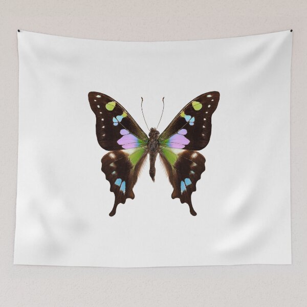 Item preview, Butterfly species Graphium weiskei "Purple Spotted Swallowtail" designed and sold by paulrommer.