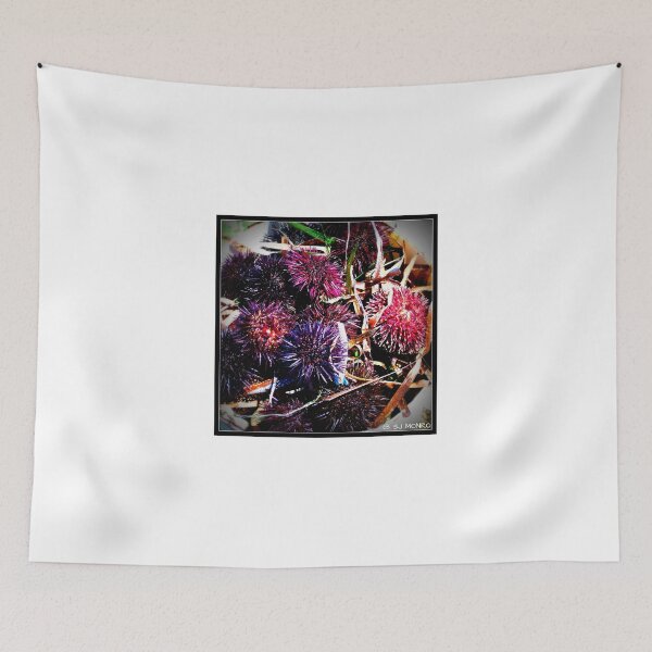 Item preview, Sea Urchins... designed and sold by MONRO CORFU.