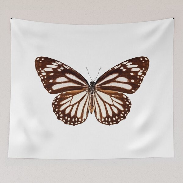 Item preview, Butterfly species Danaus melanippus "White Tiger" designed and sold by paulrommer.