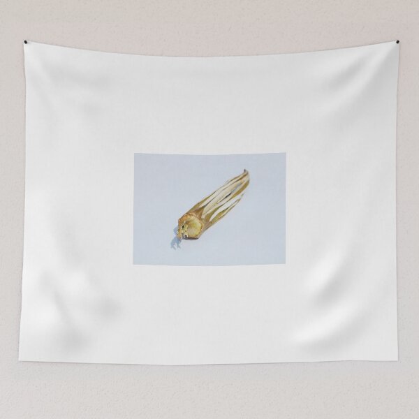 Item preview, Dried Okra Pod designed and sold by jojobob.