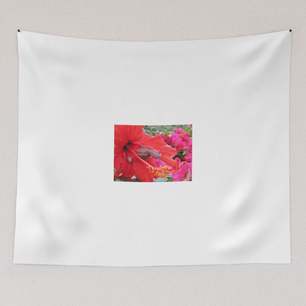 Item preview, Snail on Hibiscus sinensis designed and sold by BiodiversityRocks.