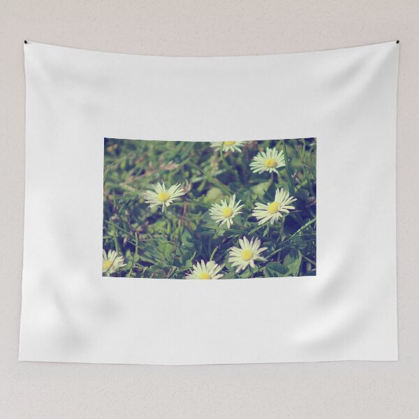 Item preview, Old Daisy designed and sold by N-MPhotography.