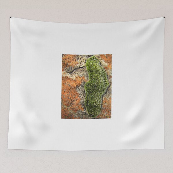 Item preview, Moss on a sandstone rock designed and sold by BiodiversityRocks.