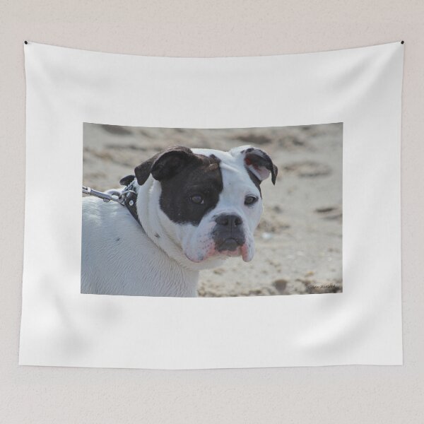 Item preview, Dog at the Bluff designed and sold by Gilda Axelrod.