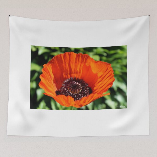 Item preview, Orange Poppy designed and sold by Gilda Axelrod.