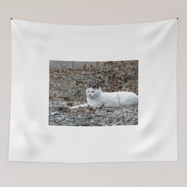 Artikelvorschau, Relaxing entworfen und verkauft von Frankie Cat Photography.