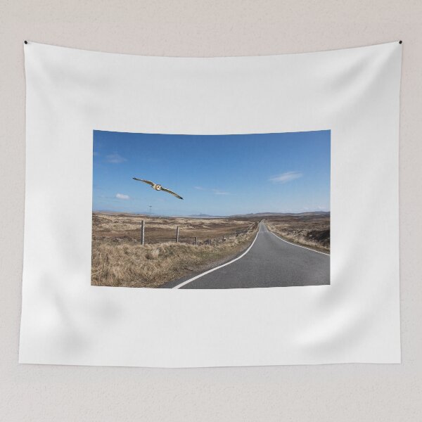 Item preview, Short-eared Owl, North Uist designed and sold by sandysshoots.