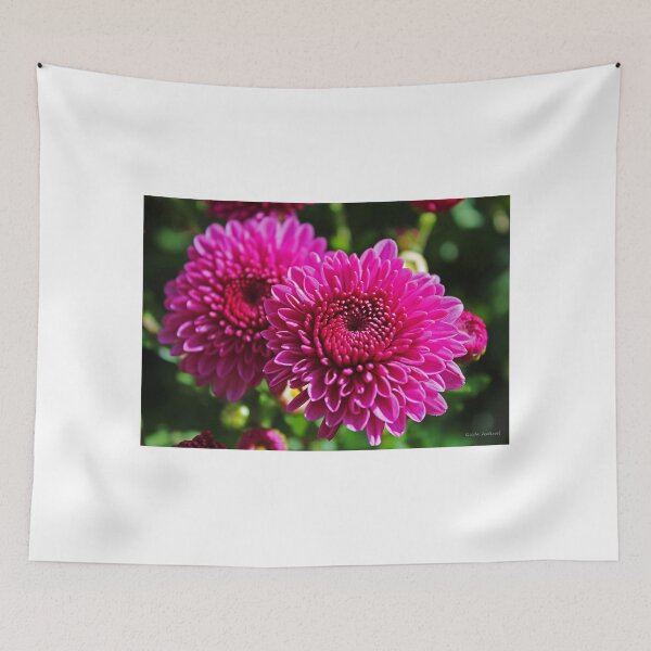 Item preview, Fuchsia Mums designed and sold by Gilda Axelrod.