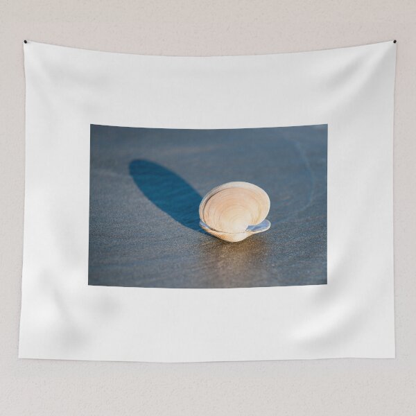 Item preview, Close-up of Dosina zelandica or ring shell. designed and sold by Brian Scantlebury.