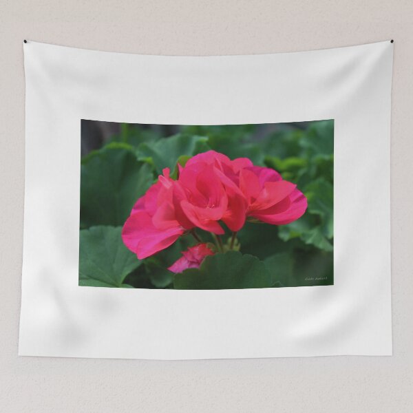 Item preview, Pink Geraniums designed and sold by Gilda Axelrod.