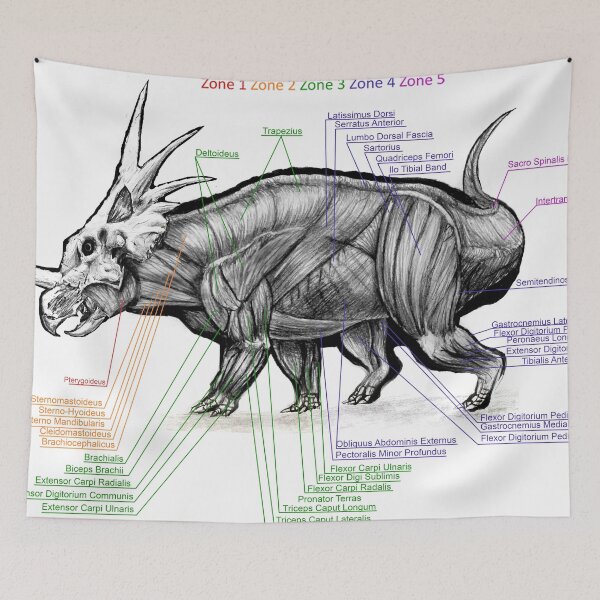 Item preview, Styracosaurus Muscle Study designed and sold by Thedragonofdoom.